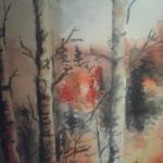 AUTUMN IN THE FOREST